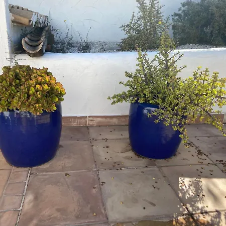 Villa Entiere Piscine Et Cuisine D'ete A Pinosol Javea