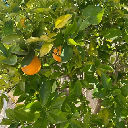 Entiere Piscine Et Cuisine D'ete A Pinosol Villa Jávea