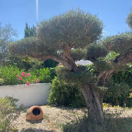 Villa Entiere Piscine Et Cuisine D'ete A Pinosol